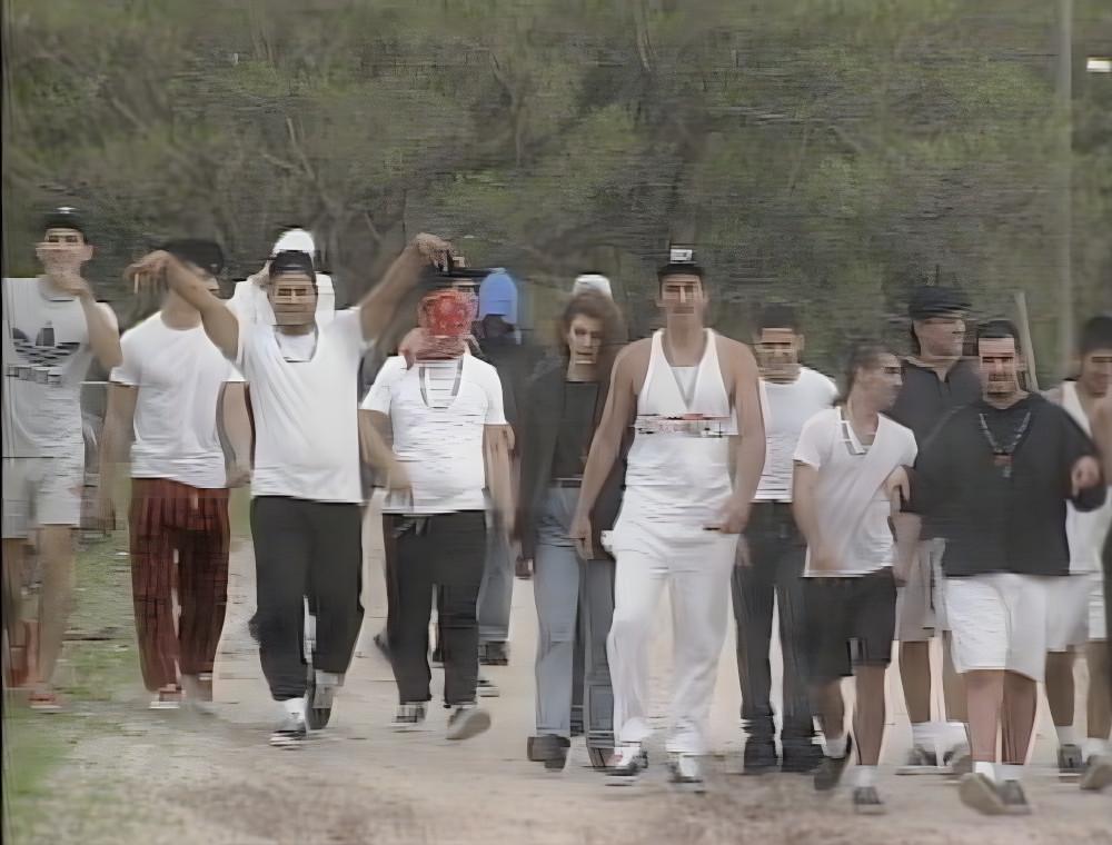 Gang walks