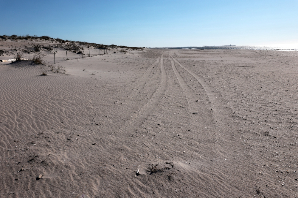 Gilgo Beach